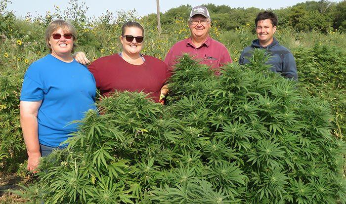 Reefer sadness: The promise of Nebraska hemp farming runs into harsh reality | News