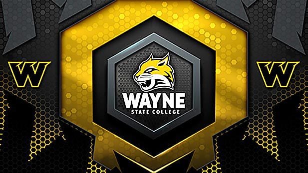 Wayne State adds new wordmark Wildcat logo Sports norfolkdailynews com