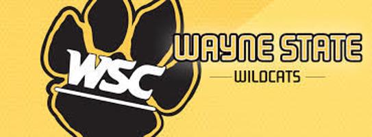 Wayne State Hires New Women S Basketball Coach Sports