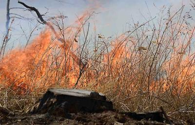 Dry conditions boost grass fire risk | News | norfolkdailynews.com