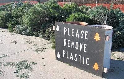 Norfolk residents can drop off Christmas trees to be recycled | News | norfolkdailynews.com