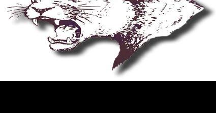 Norfolk High wins award - Vimarsana News