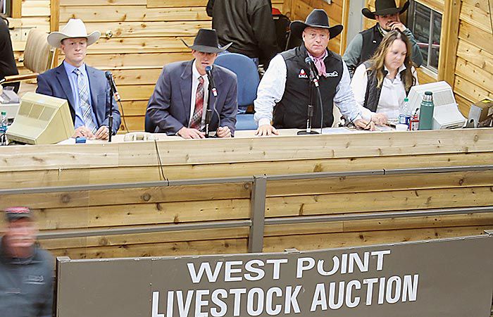 News - Western College of Auctioneering