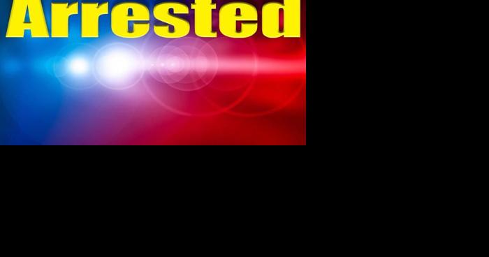 Car idling at intersection leads to woman's arrest | News - Vimarsana News