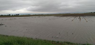 Flooded Field