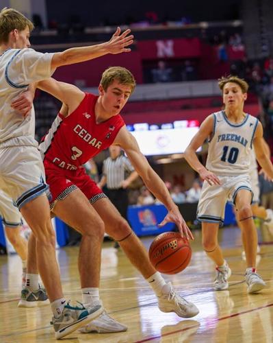Hartington Cedar Catholic vs Freeman