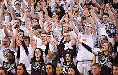 Panthers In The Wild Spotted At Basketball Games News