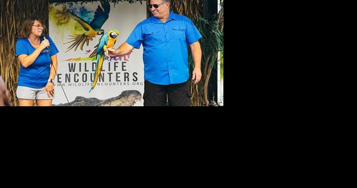 Last days of the county fair: Learning new things - Vimarsana News