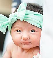 Kinzlee Shively