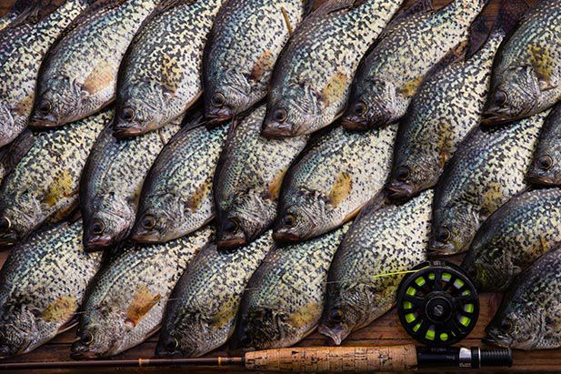 Five Trips to Fish Right • Nebraskaland Magazine