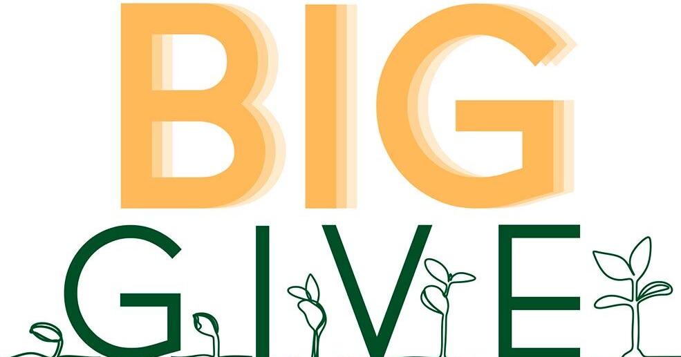 Norfolk Area Big Give to kick off with community event