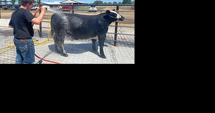 Water fans help keep livestock cool during fair
