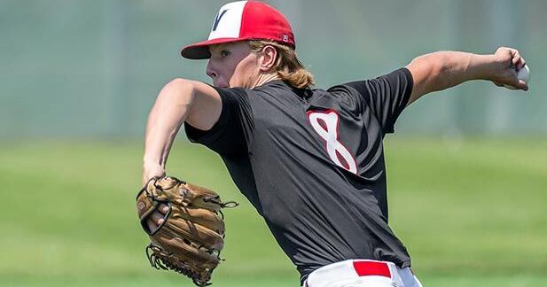 Borgmann's arm, bat lead Norfolk Seniors to a split | Select - Vimarsana News