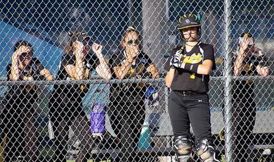 Norfolk Baseball And Softball Teams To Start In June Select