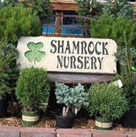 Shamrock Nursery Oneill Sold