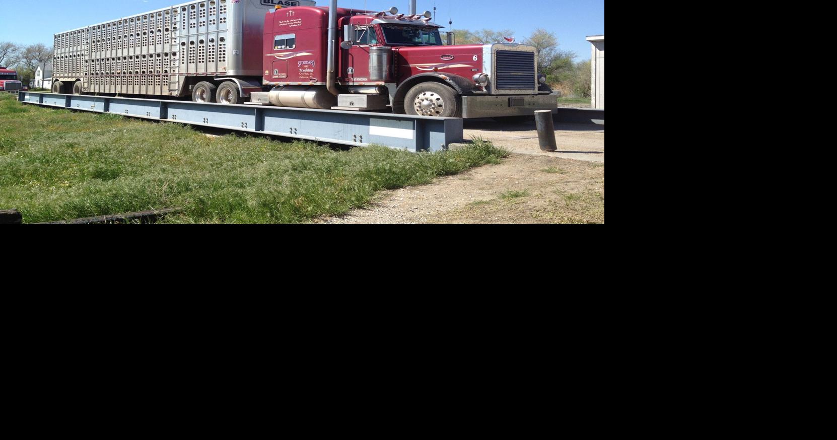 Cattle transportation costs ever-changing | News | norfolkneradio.com