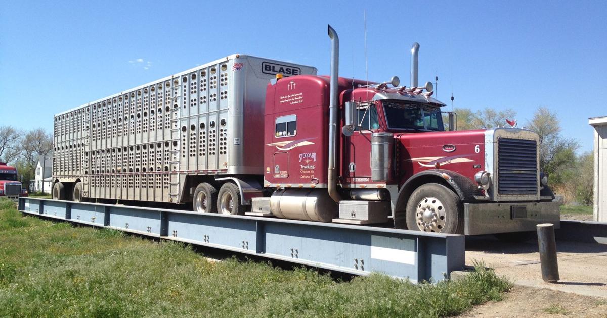 Cattle Shuttle Cattle transportation costs ever-changing | News | norfolkneradio.com