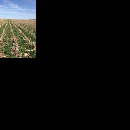Crop insurance agent says base acre changes could increase farm program payments this fall Erin Anderson, Brownfield Ag Network May 28, 2026 9 mins ago