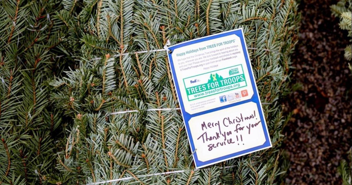 Donate a Christmas tree to our armed forces during Trees for Troops