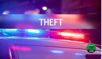 THEFT_CIRCLE-2024