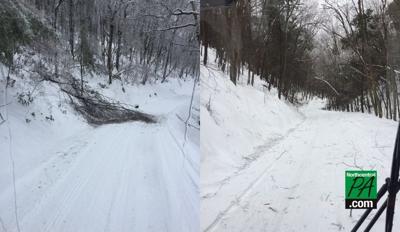 RoadconditionsForest_2021.jpg
