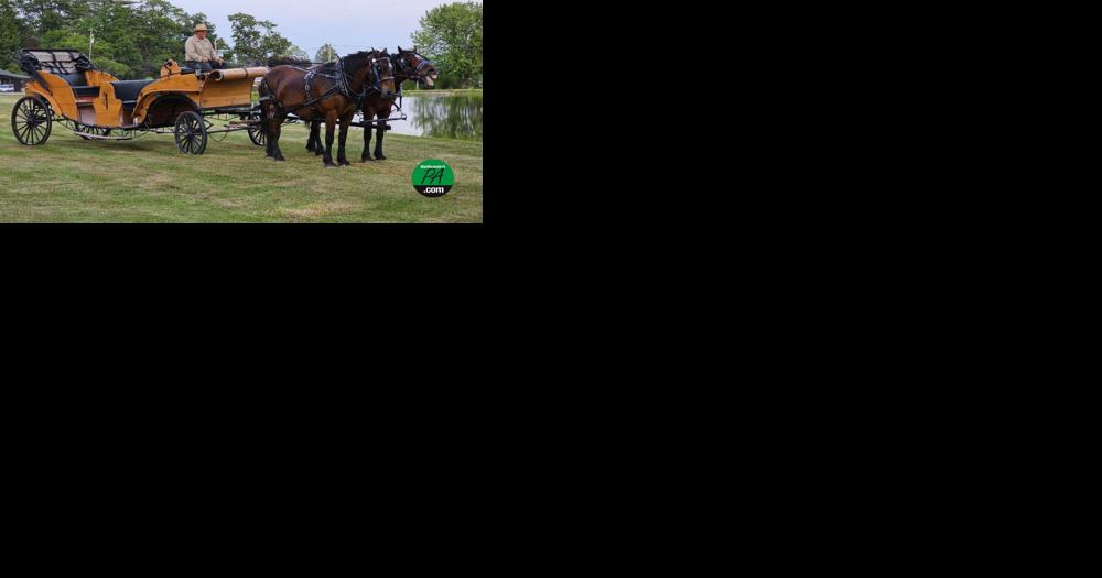 Carriage company offers scenic rides to welcome spring - Vimarsana News