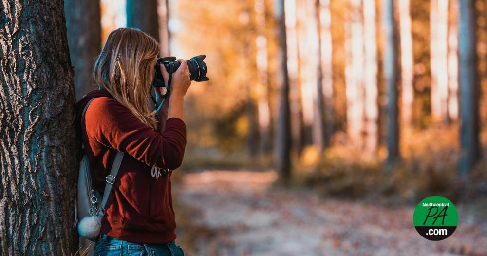 Susquehanna Shutterbugs to open 2025 photography show at Taber Museum