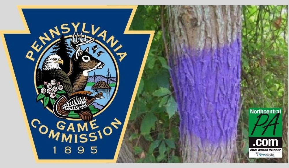 Reminder: Purple paint marks no trespassing, Outdoors