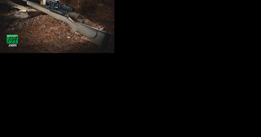 Hunter's rifle missing after he forgets it in the woods - Vimarsana News
