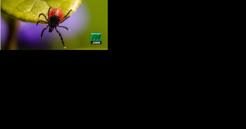 Ticks, tick-borne illnesses on rise; Pennsylvanians urged to take precautions while outdoors this fall - Vimarsana News