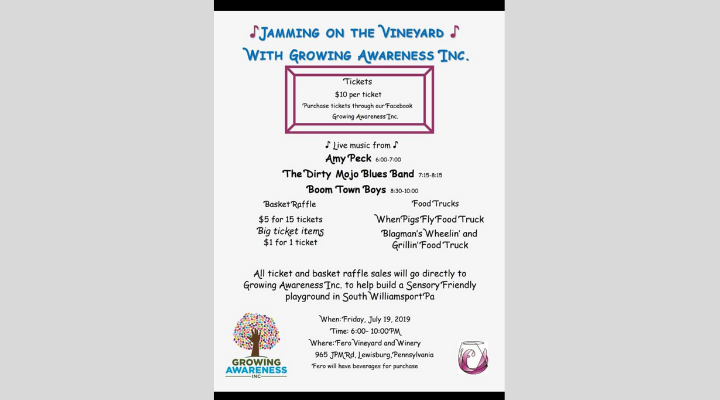 Growing Awareness Inc Raising Funds For Sensory Playground In South Williamsport News Northcentralpa Com