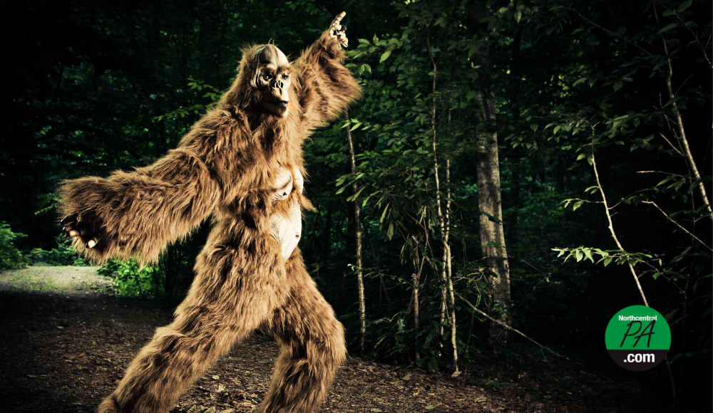 Bigfoot and Cryptid Festival returns to Elysburg | Community | northcentralpa.com Bigfoot and Cryptid Festival returns to Elysburg | Community | northcentralpa.com