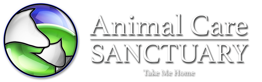Animal Care Sanctuary to Hold Charity Auction in Williamsport | Life |  