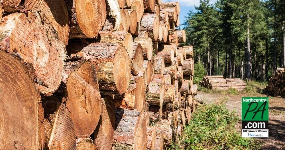 Deer Park Lumber expands operations, expects job growth in Pa. | Business
