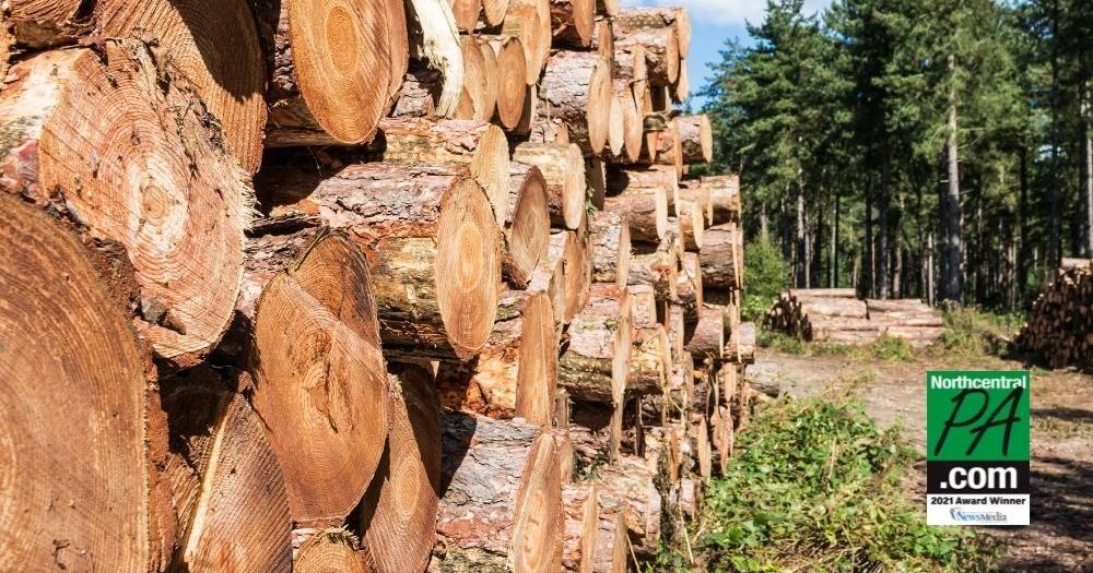 Deer Park Lumber expands operations, expects job growth in Pa. | Business Deer Park Lumber expands operations, expects job growth in Pa. | Business