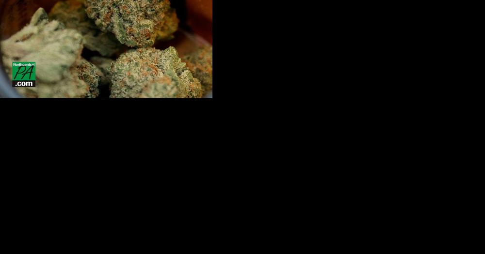 Another Pennsylvania try for bipartisan marijuana legalization - Vimarsana News