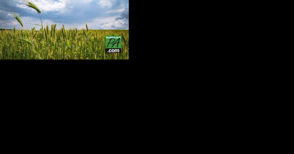 Legislators introduce bill to promote organic agriculture research in state - Vimarsana News