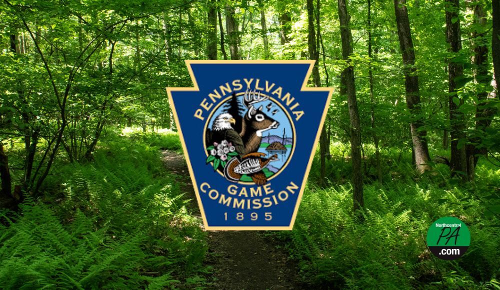 Pa. Game Commission announces hunting licenses to go on sale June