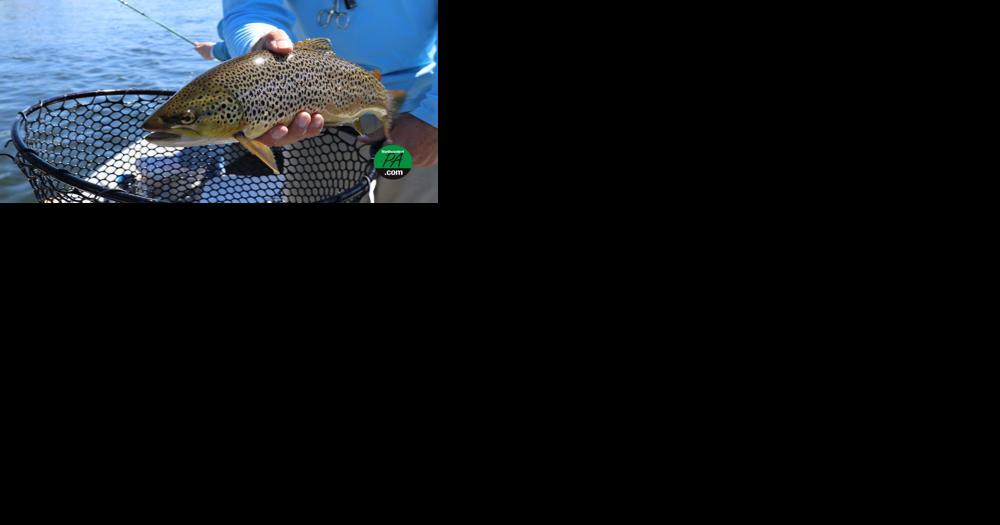 DCNR opens up state park campsites for trout season - Vimarsana News