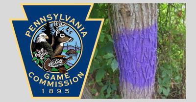 Pa Passes Purple Paint Law For No Tresspassing Outdoors Northcentralpa Com