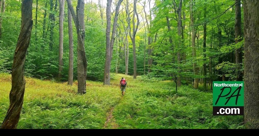 NOMINATE PA TRAIL FOR 2023 TRAIL OF THE YEAR! | | LIFE