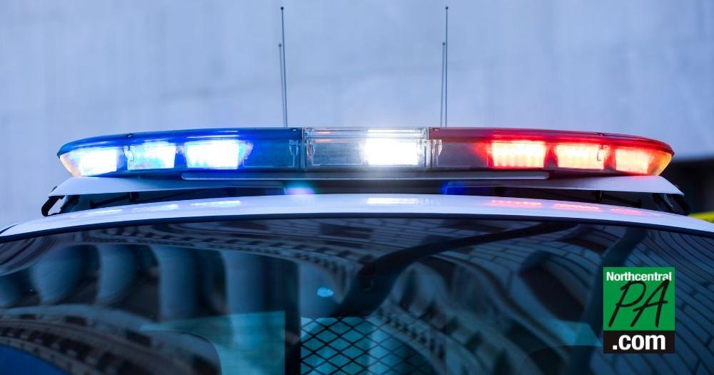 Police looking for house vandal - Vimarsana News