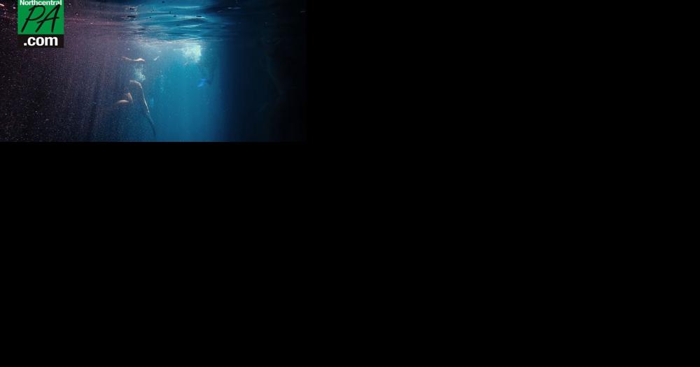 New 'alien-like' sea creature discovered in the ocean - Vimarsana News
