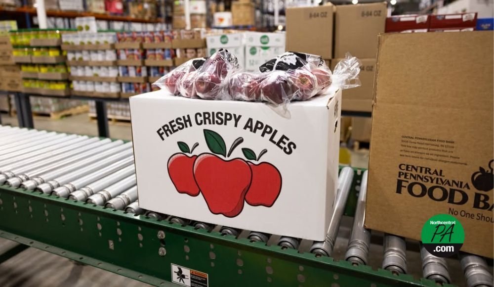 PPL Foundation steps forward with emergency funds during SNAP shortfall ...