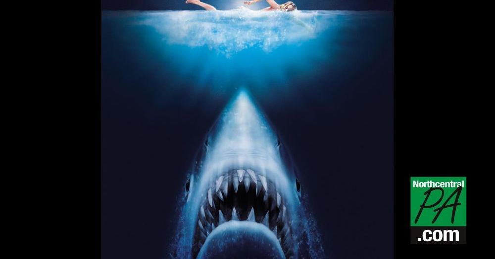 June 29, the anniversary of America's most famous shark attack - Vimarsana News