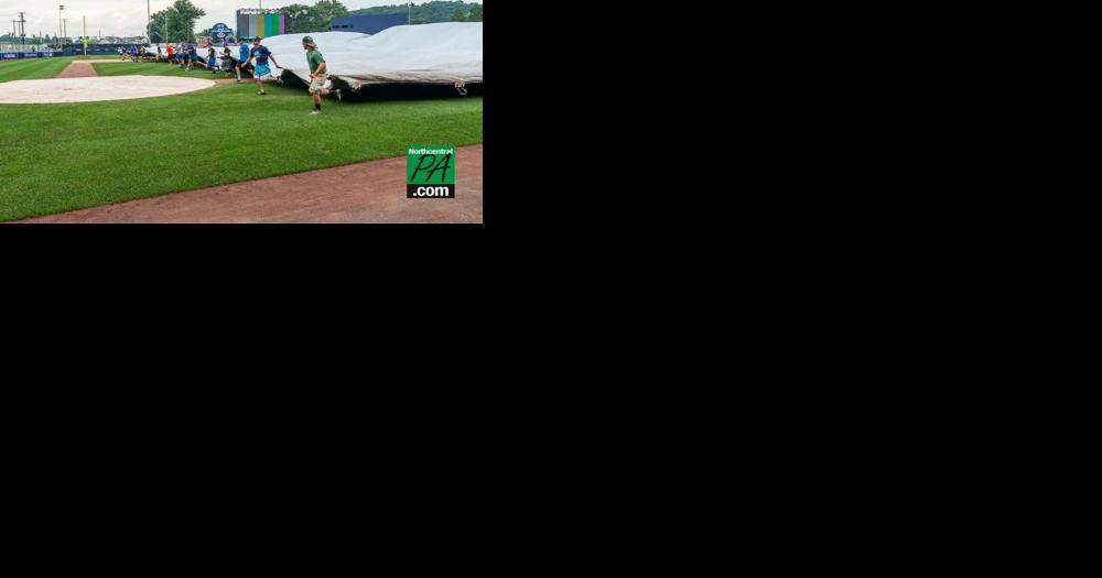 Wildcat Club supporters help roll out the green carpet at Historic Bowman Field - Vimarsana News