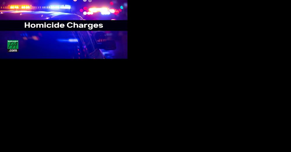 Son charged in the murder of elderly mother - Vimarsana News
