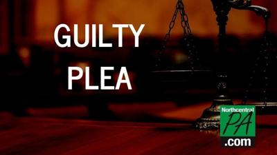 GuiltyPlea_Option3_NCPA_2020