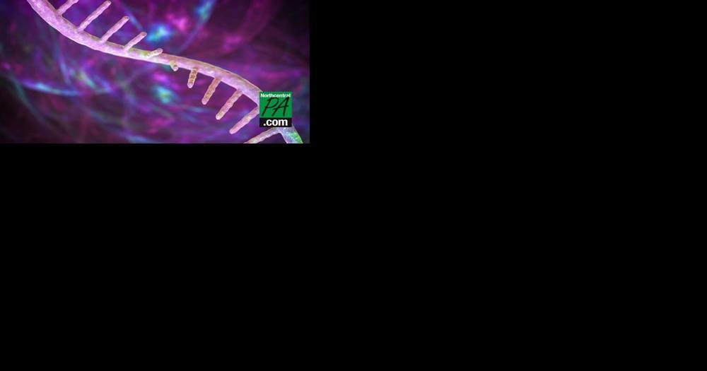 Drugs of the future will be easier and faster to make, thanks to mRNA - Vimarsana News