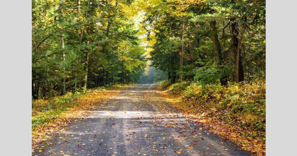 DCNR dedicates thousands toward Pa waterways, parks, and recreation | State DCNR dedicates thousands toward Pa waterways, parks, and recreation | State